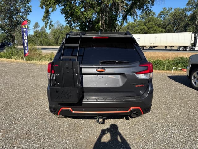 Car Picture